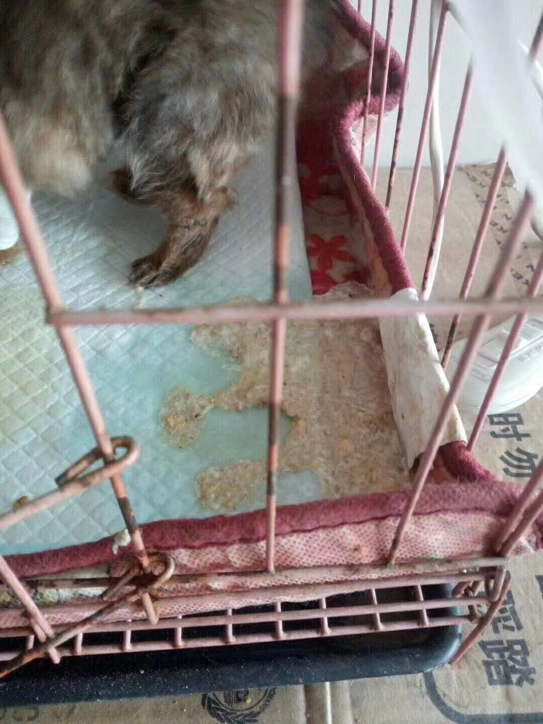 微信图片_20180105155523.jpg